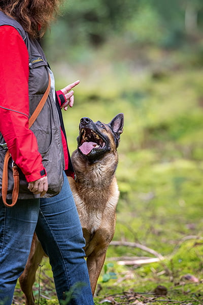 Hundeschule Anita, Seite Philosophie
